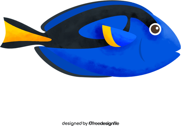 Blue Tang Fish PNG