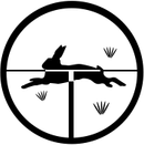 Hunting PNG