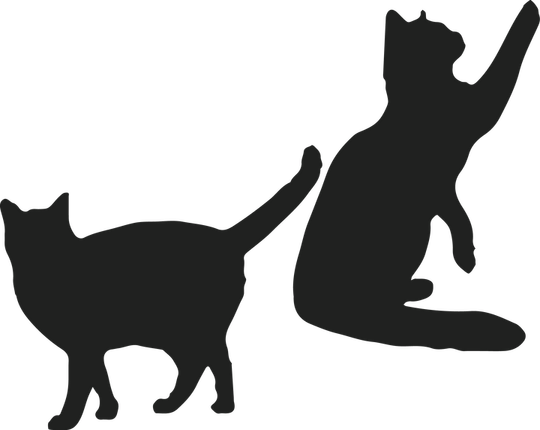 Spinning Cat PNG