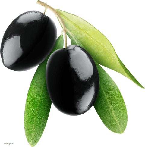 Java Plum PNG