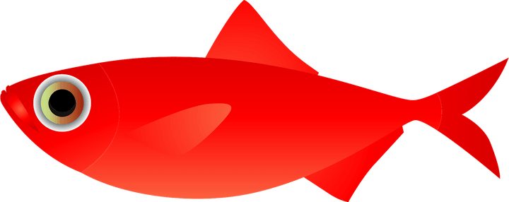 Red Fish PNG