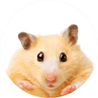 Hamster Peace Sign Meme PNG
