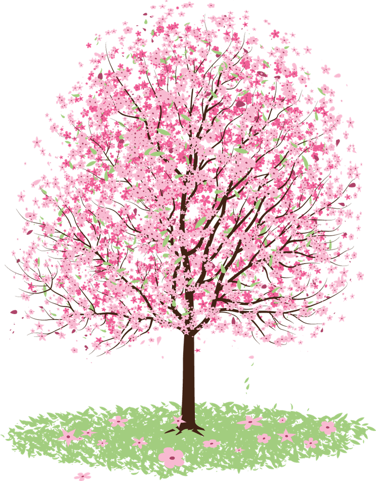 Spring Tree PNG