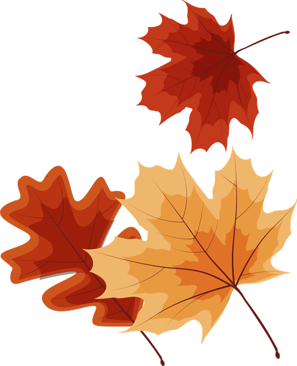 Fall Leaf PNG