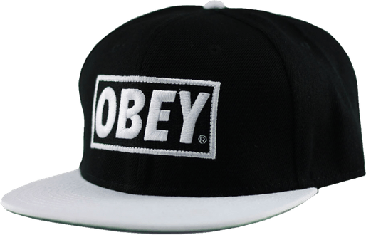 Obey Hat PNG
