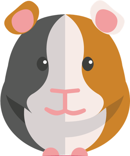 Guinea Pig PNG