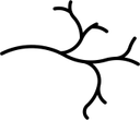Veins PNG
