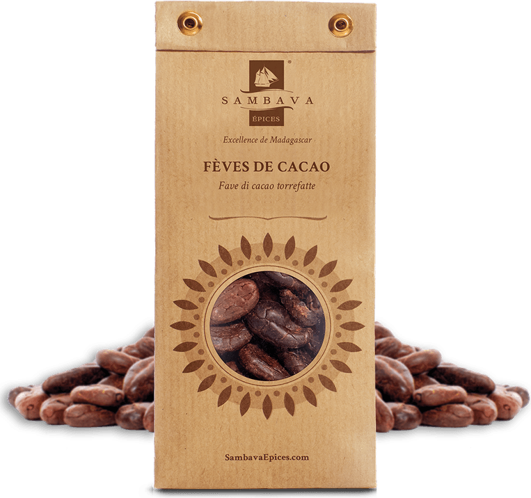 Cocoa Beans PNG