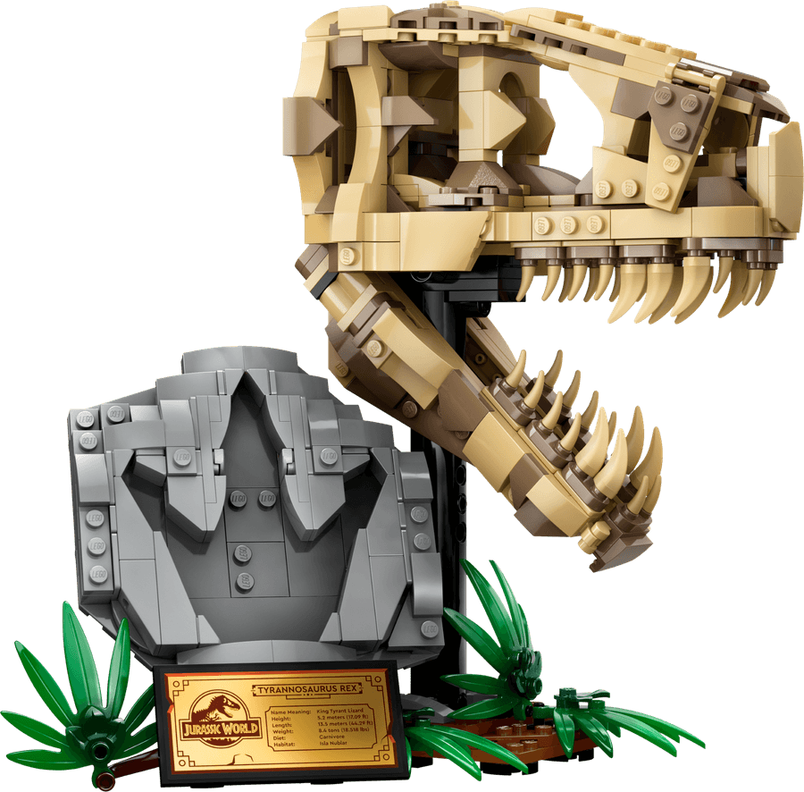 Dinosaur Skull PNG