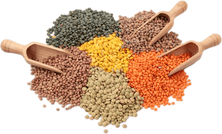 Lentils PNG