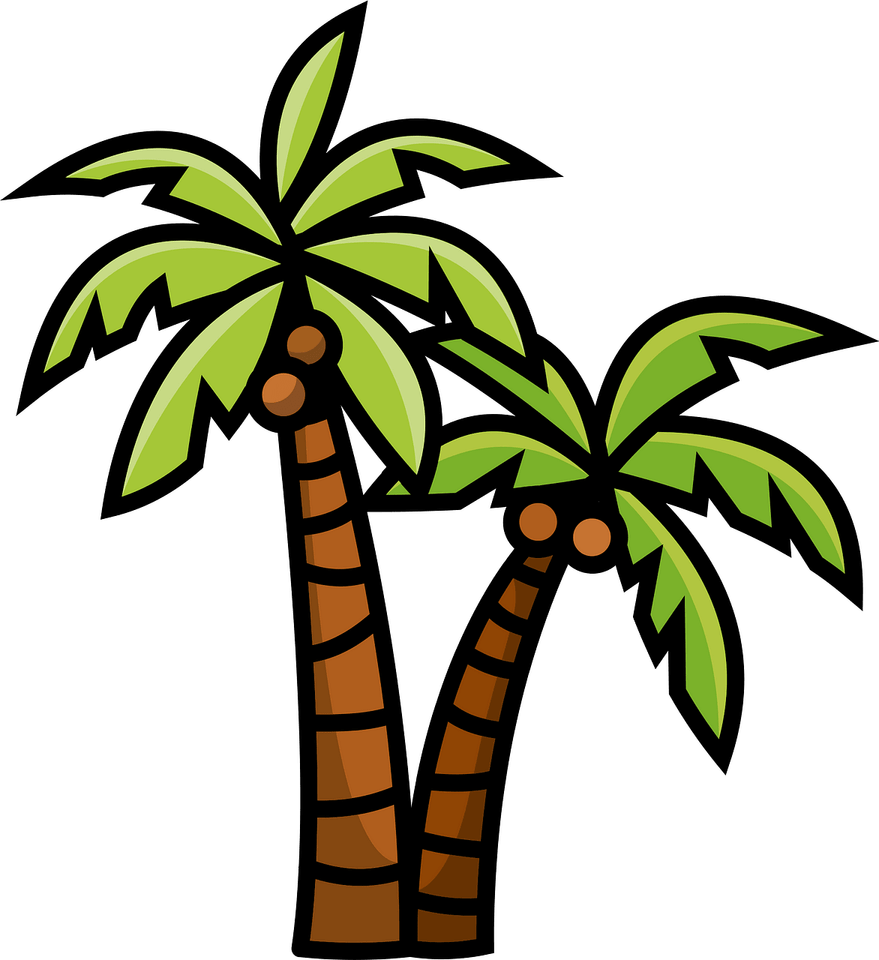 Coconut Trees PNG