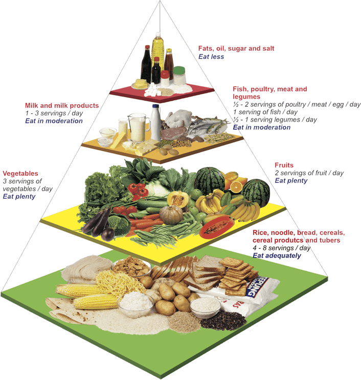 Food Pyramid PNG