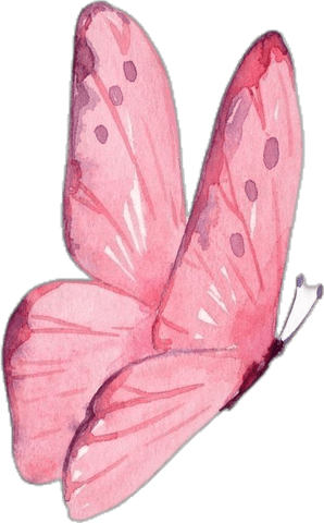 Pink Watercolor Butterfly PNG