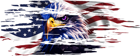Bald Eagle American Flag PNG