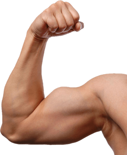 Biceps PNG