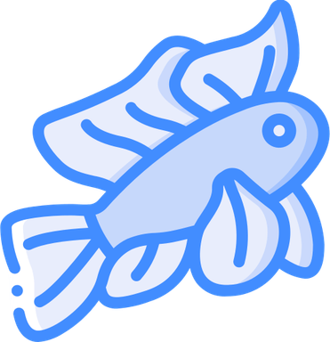 Mandarin Fish PNG