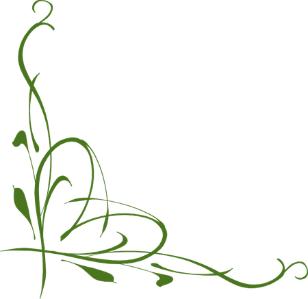 Green Vines PNG