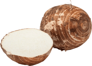 Taro Root PNG