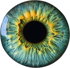 Green Eyes PNG