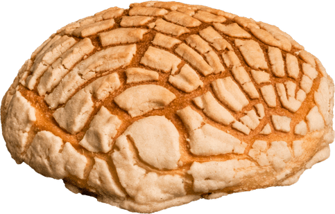 Concha PNG