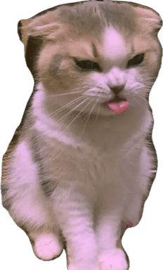 Sad Cat Memes PNG