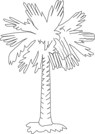 South Carolina Palm Tree PNG