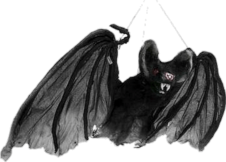 Vampire Bat PNG
