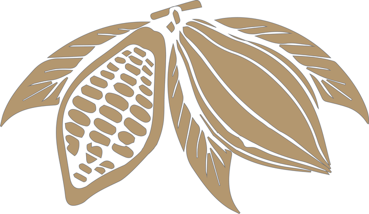 Cocoa Beans PNG