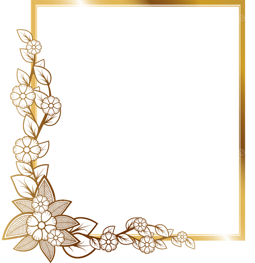Border Frame PNG