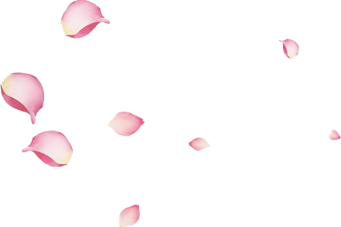 Flower Petals PNG