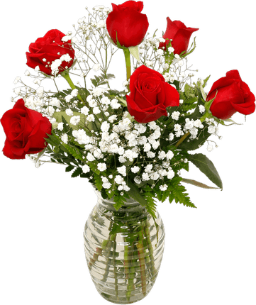 Babys Breath PNG