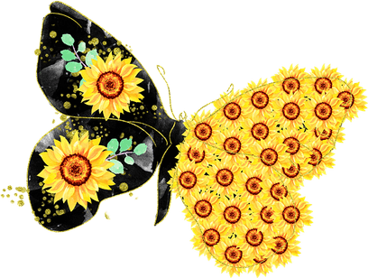 Sunflower Butterfly PNG