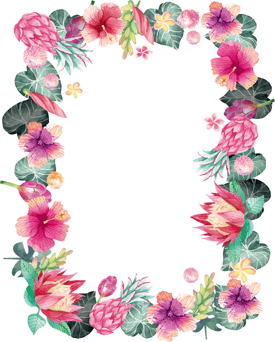 Watercolor Floral Frame PNG