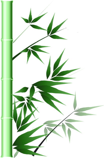 Bamboo Papercut PNG