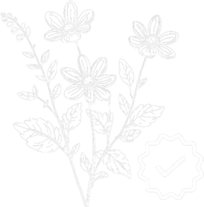 Chalkboard Flower PNG
