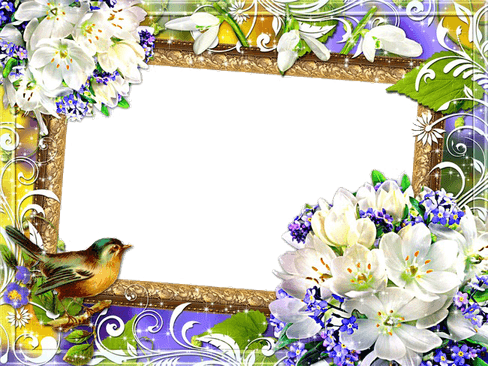 Mood Frame PNG