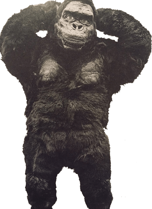 King Kong PNG