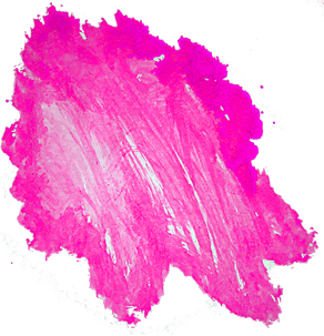 Stain PNG