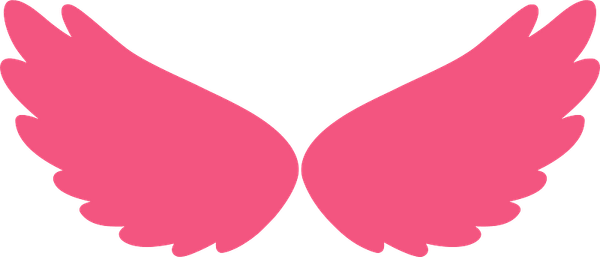 Pink Angel Wings PNG