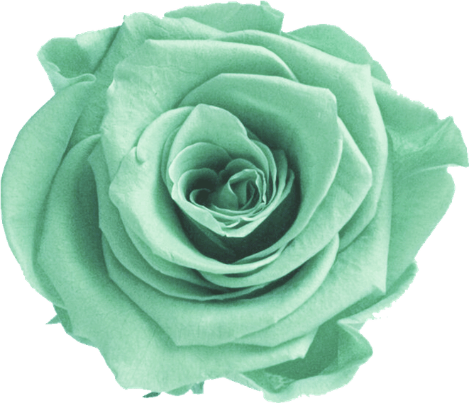Aesthetic Green Flower PNG