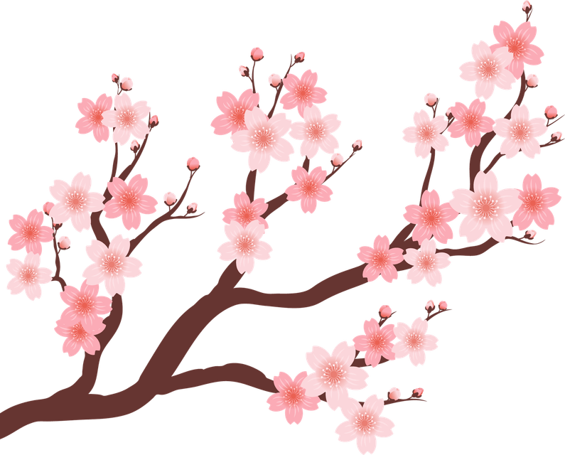Cherry Tree PNG