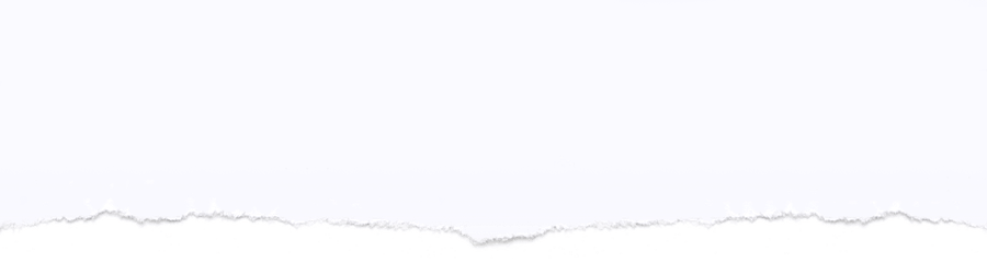 Page Rip PNG