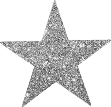 Silver Glitter Star PNG