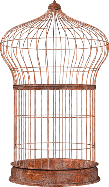 Cage PNG