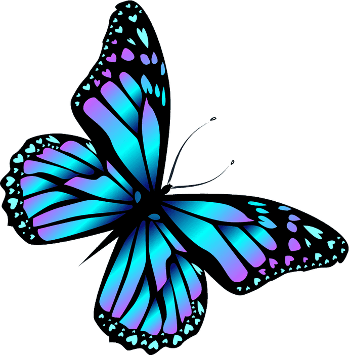 Encanto Butterfly PNG