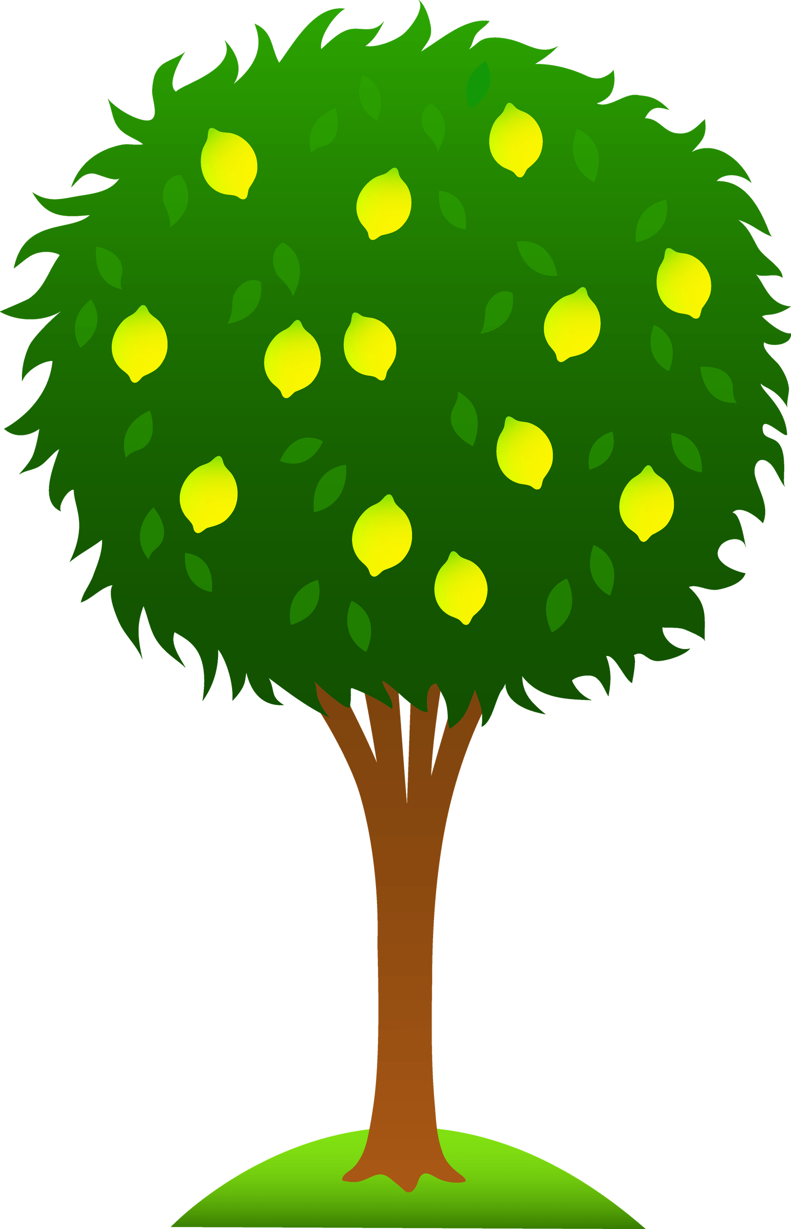Cartoon Tree PNG