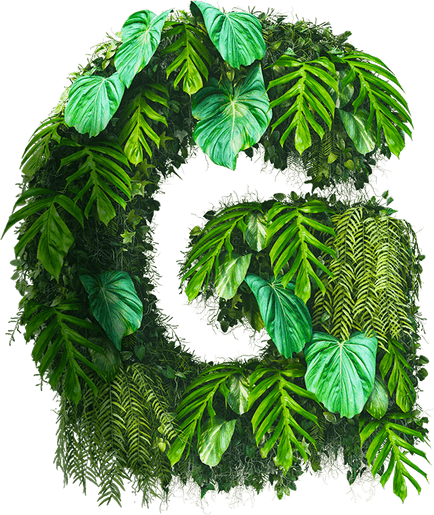 Jungle Leaves Border PNG