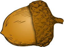 Acorn PNG