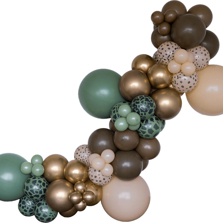 Safari Balloon PNG