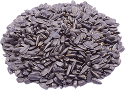 Sunflower Seeds PNG